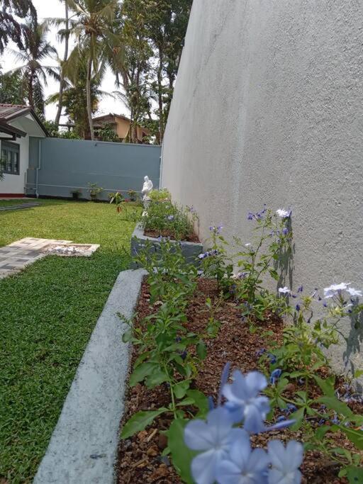 Sky Bloom Homagama Exterior foto